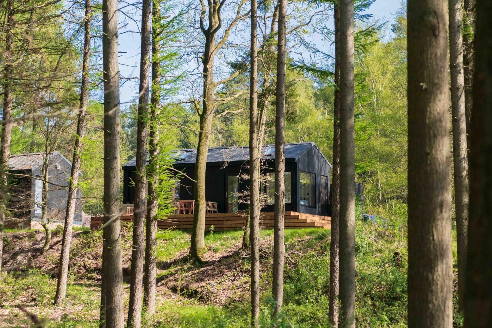 Resort Wilsumer Berge Exterior foto